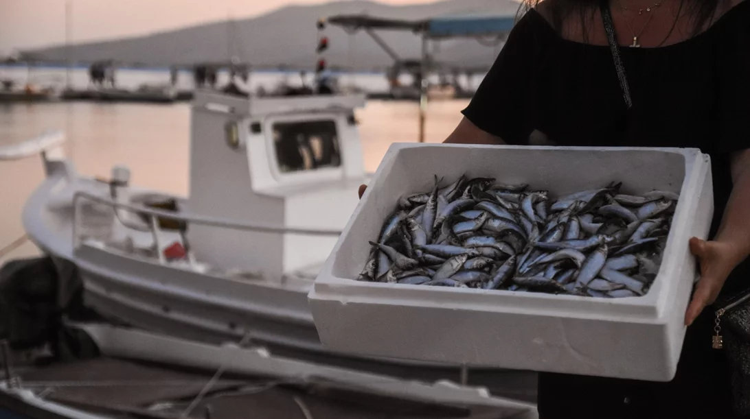 Όλα όσα θα δούμε τον Αύγουστο σε Αμοργό, Λέσβο, Κρήτη και Ρόδο