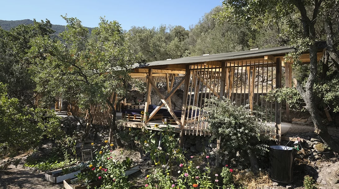 Hermitage Sykaminea: Ένα οικολογικό καταφύγιο για τις τέχνες φέρνει νέα συνεργατικά καλλιτεχνικά ήθη στη Λέσβο