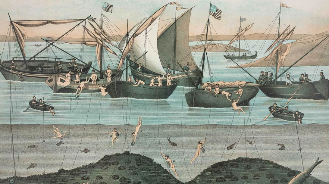 Η Camille Pradon συζητά με την Ελένη Ρήγα για το ζήτημα των μετασχηματισμών της υποβρύχιας βιοποικιλότητας