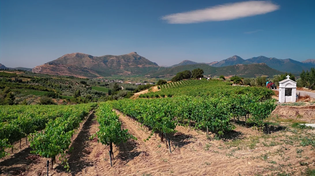 Μεγάλες Μέρες Νεμέας 2-4 Σεπτεμβρίου 22 : Ένα απολαυστικό τριήμερο εκδηλώσεων με επίκεντρο το κρασί