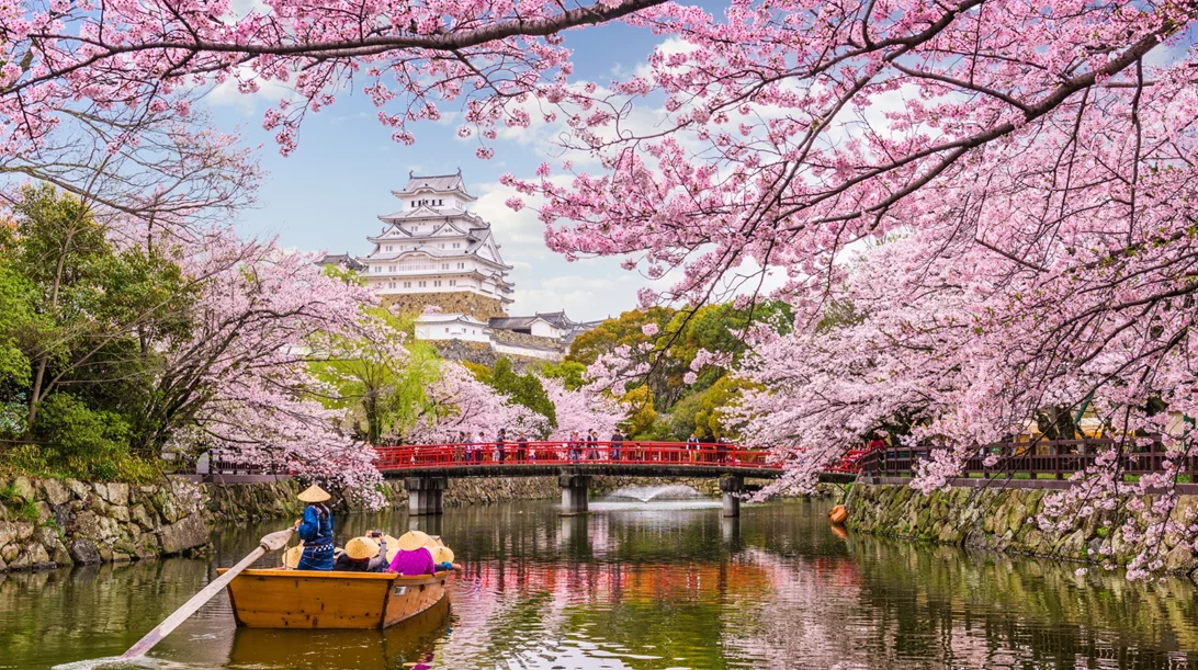 Ιαπωνία ή Νότια Κορέα; Τελικός προορισμός οι ανθισμένες κερασιές