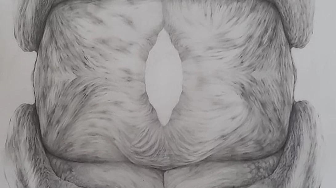 "Σύγχρονες θηλυκότητες" μιλούν για τις κοινωνικές δυσκολίες που αντιμετωπίζει η γυναίκα σήμερα