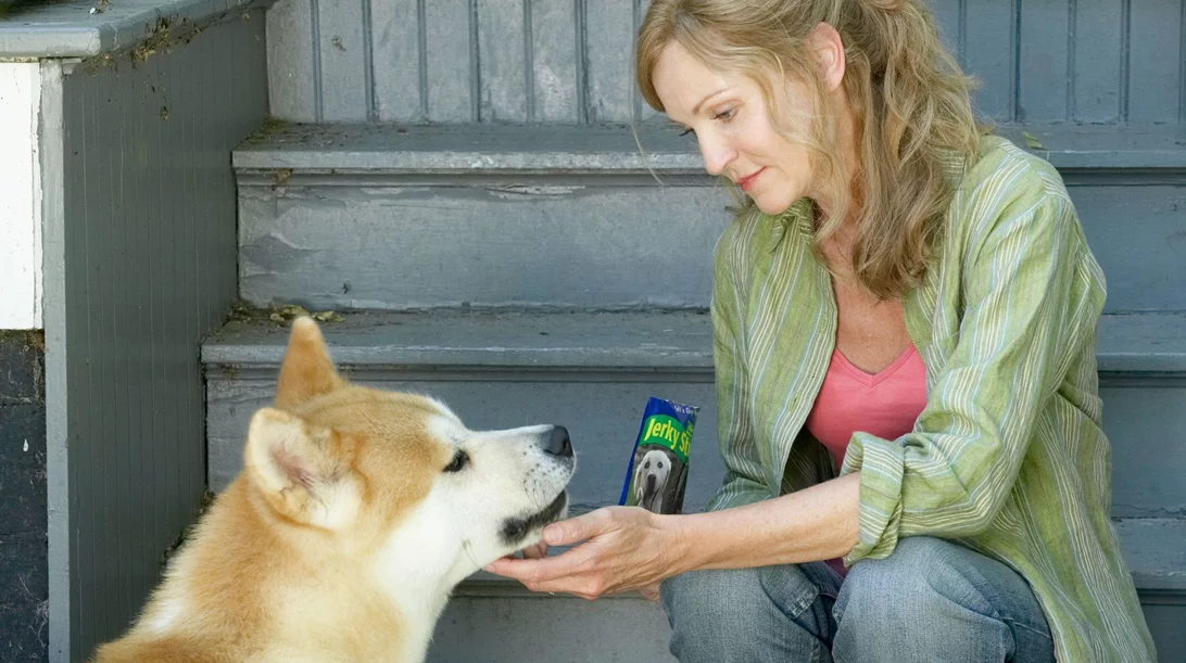 "Ζώα και Συναισθήματα": οι καλύτεροι μας φίλοι στο ERTFLIX