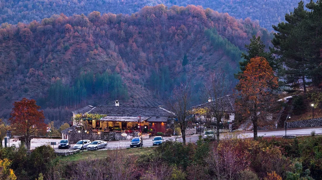 "Κανέλα & Γαρύφαλλο": Ένας παράδεισος των μανιταριών στα Ζαγοροχώρια