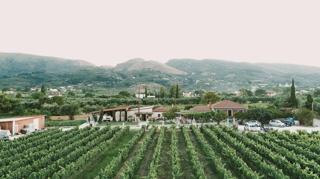 Στο Κτήμα Γράμψα ο τρύγος είναι μία μορφή τέχνης