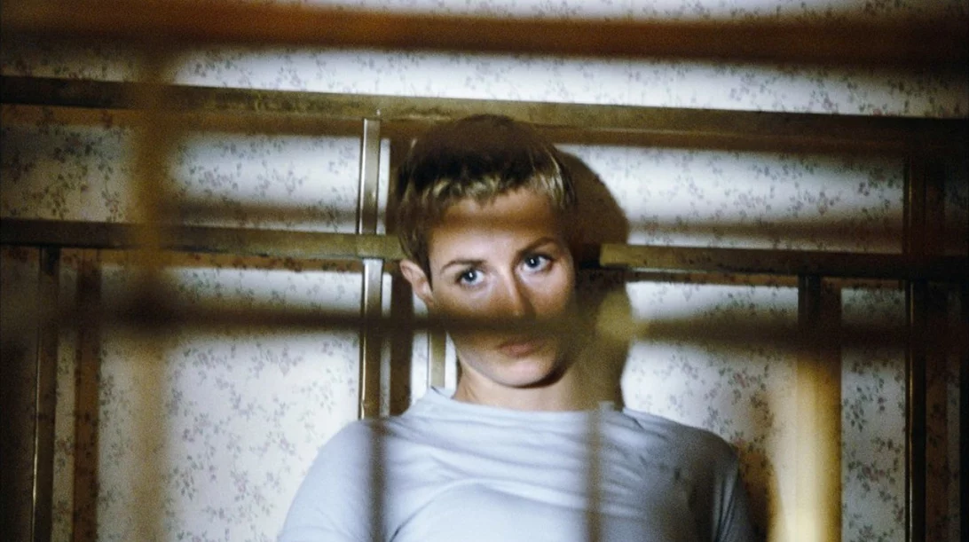 Σεμινάριο για ένα "Σινεμά στα Άκρα: Από το Δόγμα 95 στο Weird Wave"