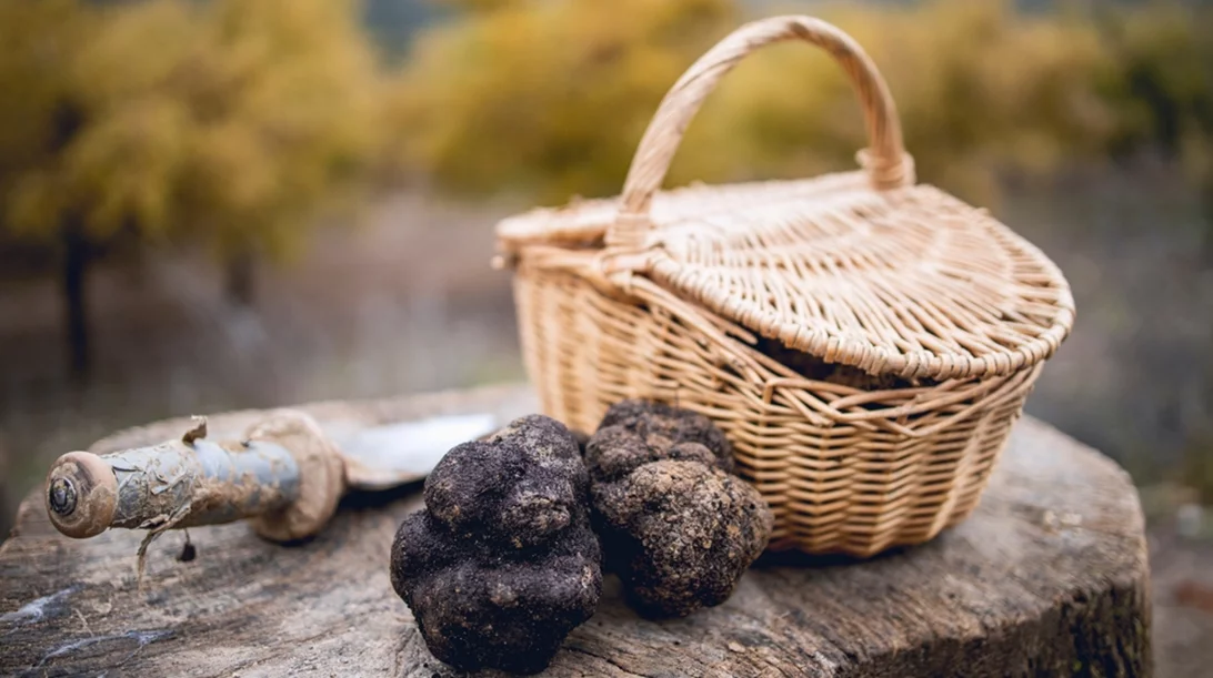 Στην Καλαμπάκα για την 1η Πανελλήνια Γιορτή Τρούφας