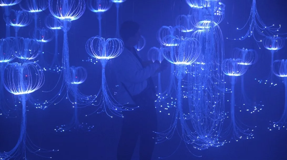 Medusa Valley: Η θάλασσα "αναδύεται" στην καρδιά της Αθήνας μέσα από χιλιάδες λαμπερές μέδουσες