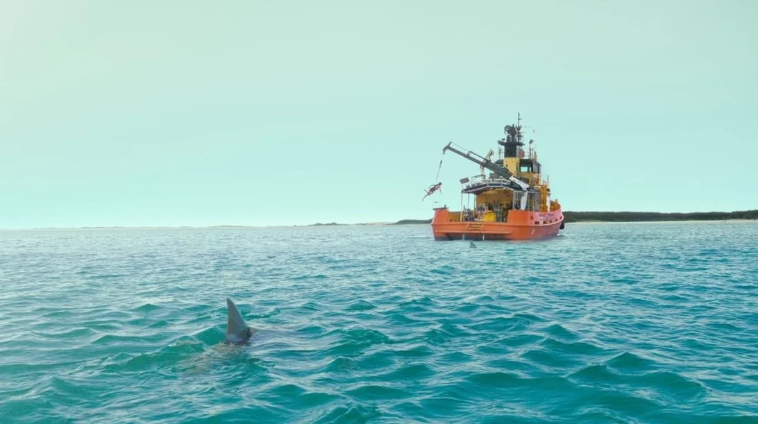 Λένε πως αυτή είναι η πιο ρομαντική ταινία με καρχαρίες που γυρίστηκε ποτέ