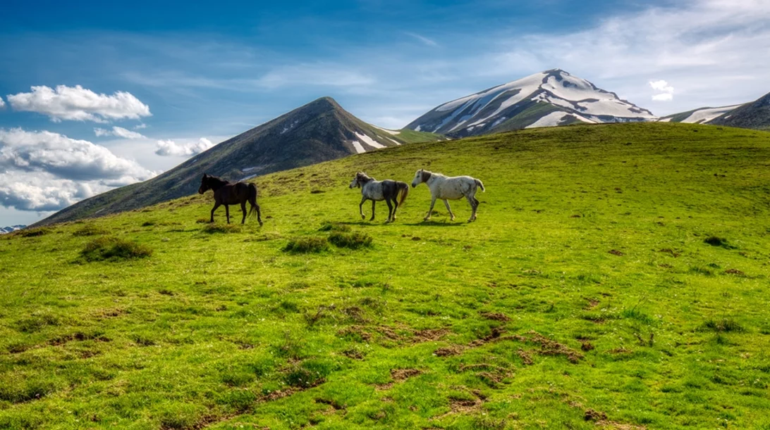 Οι καλύτεροι χειμερινοί προορισμοί της Ελλάδας: Άγραφα