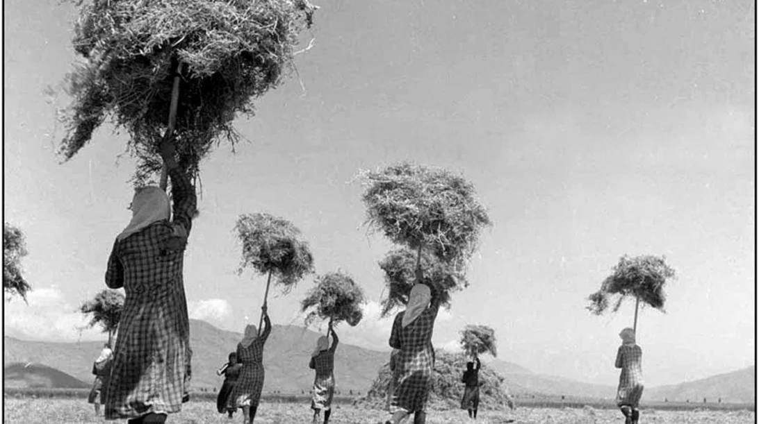 Το Φωτογραφείο του Μπαμπά μου