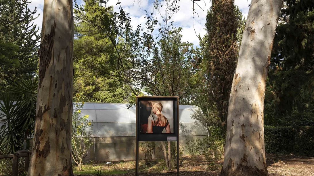 "Sheltered Gardens": Ένα καταφύγιο τέχνης στον άγνωστο στους πολλούς Βοτανικό Κήπο Διομήδους μας βγάζει από τα περιοριστικά πλαίσια της ταυτότητας