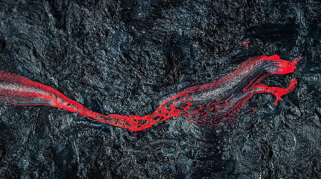 Ο Daniel Franc απαθανατίζει μυστικές πτυχές της φύσης