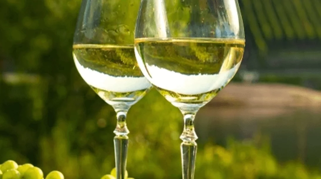 Όλα για το Riesling