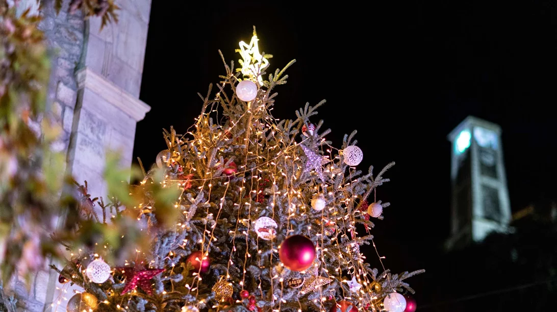 Γιορτές στη Βαμβακού Λακωνίας: Χριστουγεννιάτικες εμπειρίες και δραστηριότητες για όλη την οικογένεια