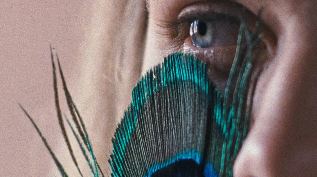 "Portugal Now!" στον θερινό κινηματογράφο "Ηλέκτρα"