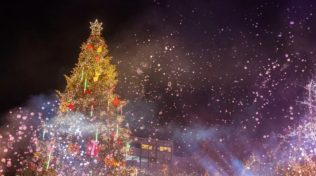Δείτε φωτογραφίες από τη χριστουγεννιάτικη φωταγώγηση στο Σύνταγμα