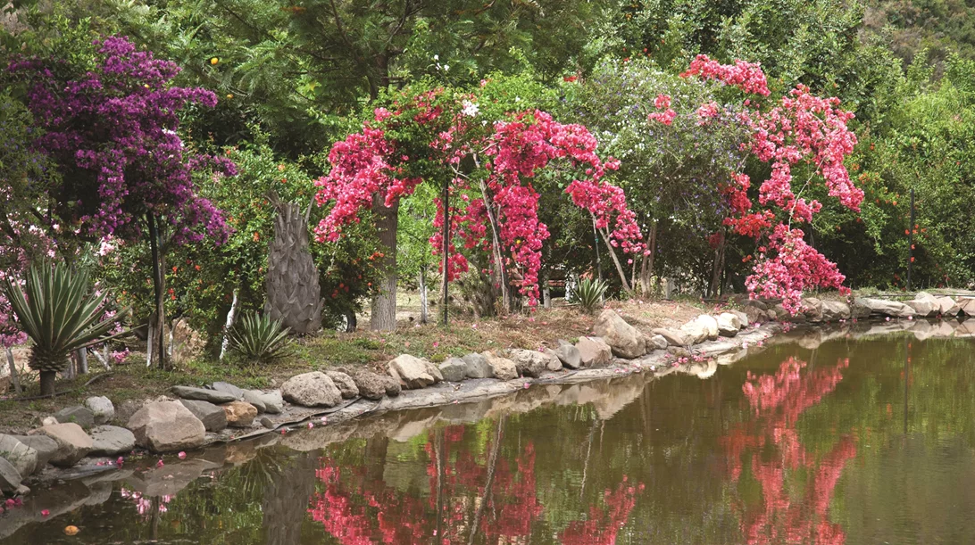 Βοτανικός Κήπος Κρήτης: Μια κιβωτός μνήμης, γνώσης και γεύσης