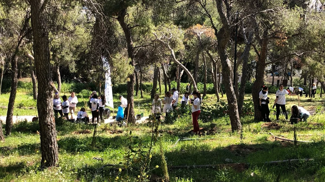 Ανάσα πρασίνου στην πόλη: Συνεχείς δενδροφυτεύσεις σε Λυκαβηττό και Στρέφη από τον Δήμο Αθηναίων