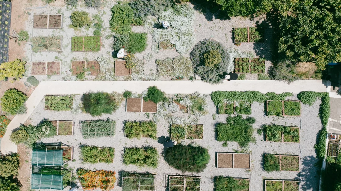 Μια μέρα από τη φάρμα στο τραπέζι του "Soil"