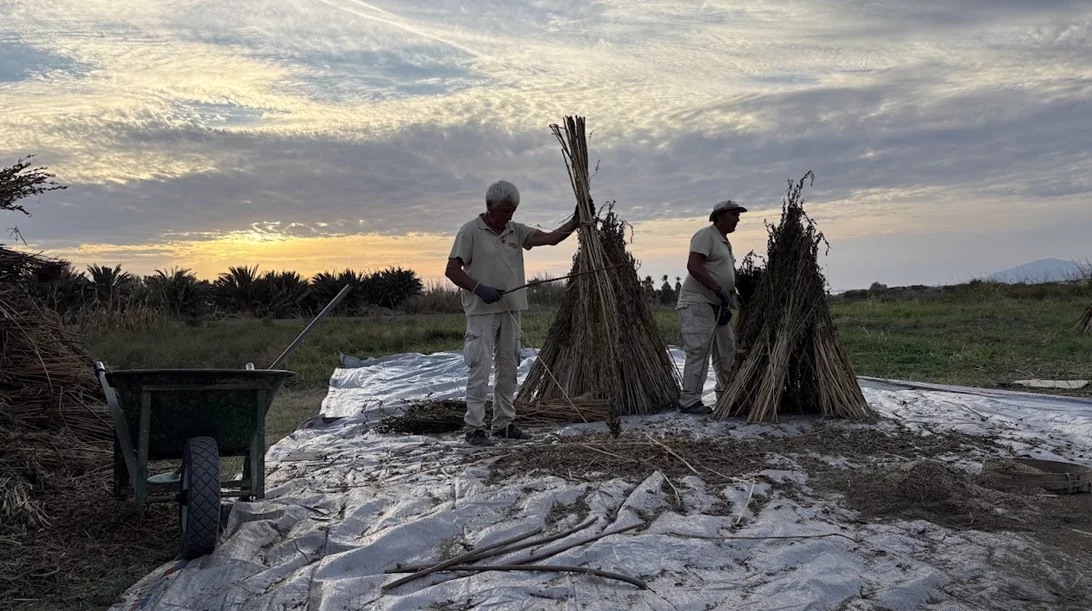 Το Grecotel LUXME Kos φιλοξένησε το 4ο Διεθνές Επιστημονικό Συνέδριο "Ιπποκρατική Παράδοση & Σύγχρονες Εφαρμογές"
