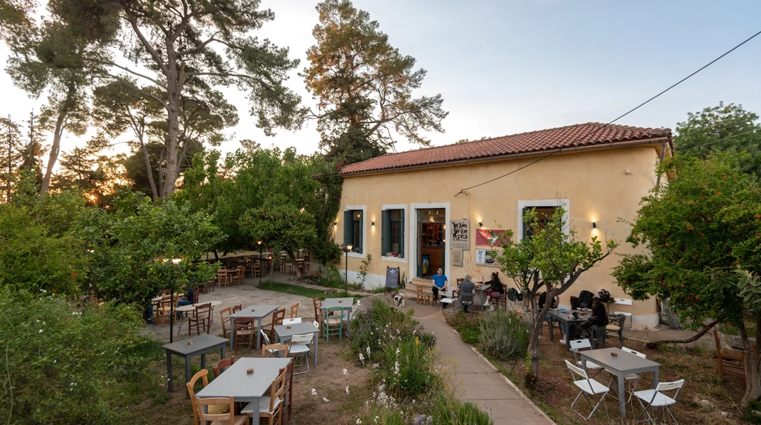 Χανιά: Στα καφενεία του Αποκόρωνα