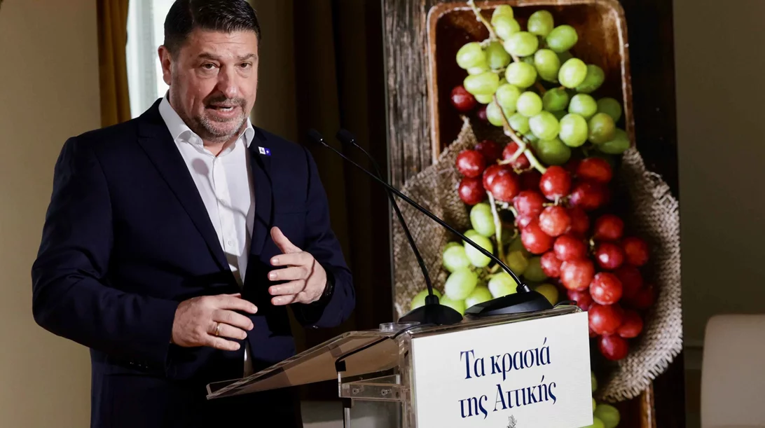 Tο σχέδιο για τη στήριξη του αττικού αμπελώνα