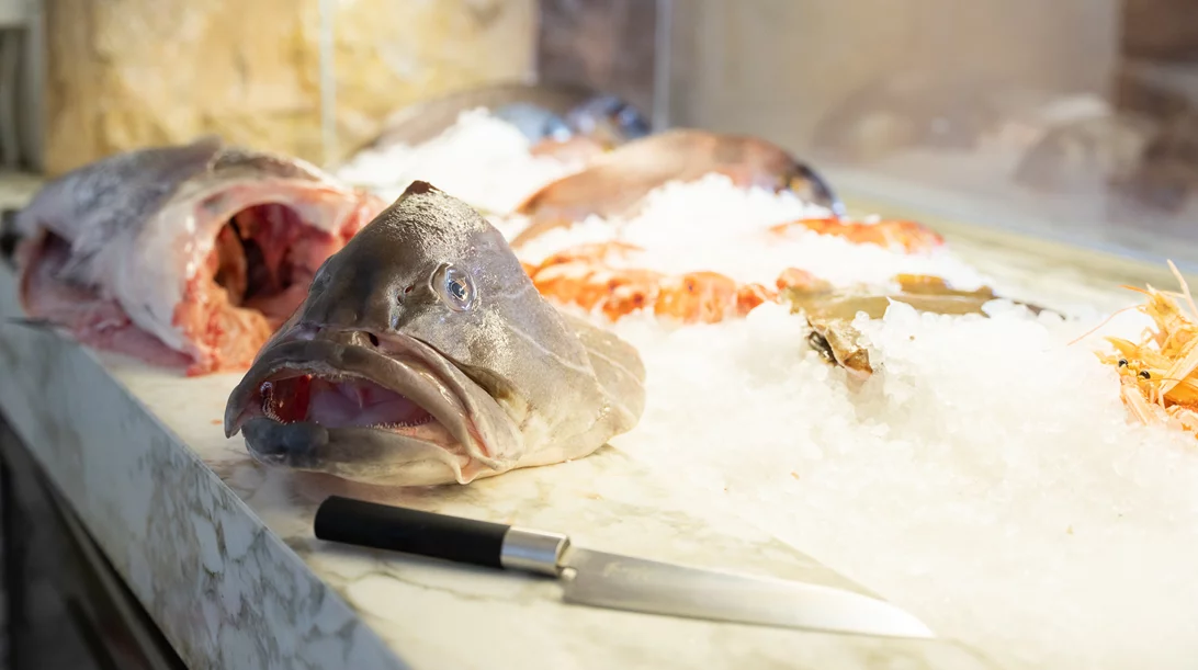 "Labros": Η αθηναϊκή Ριβιέρα έχει το δικό της σημείο αναφοράς στο ψάρι