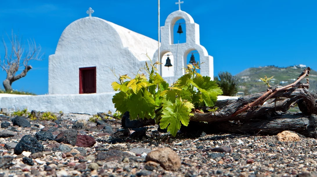 Αν δεν ήξερες για το Μαυράθηρο ήρθε η ώρα &  στο συστήνει η Canava Roussos