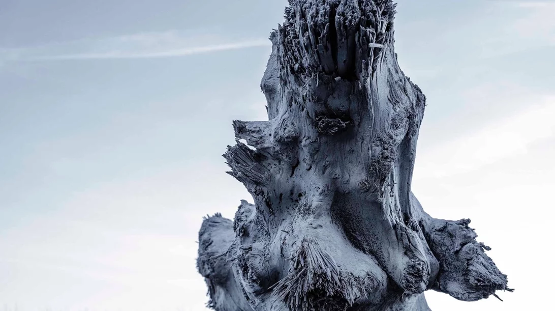 Η τέχνη μπαίνει στο "Αίνιγμα του Δάσους"