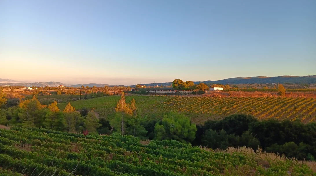 Τα Μέγαρα αλλάζουν και μας καλούν να τα ανακαλύψουμε