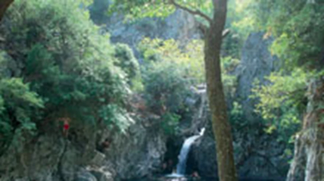 Ταξίδι με αφορμή 