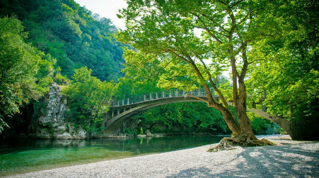 Φέτος έχουμε έναν ακόμη λόγο να κάνουμε διακοπές στο βουνό