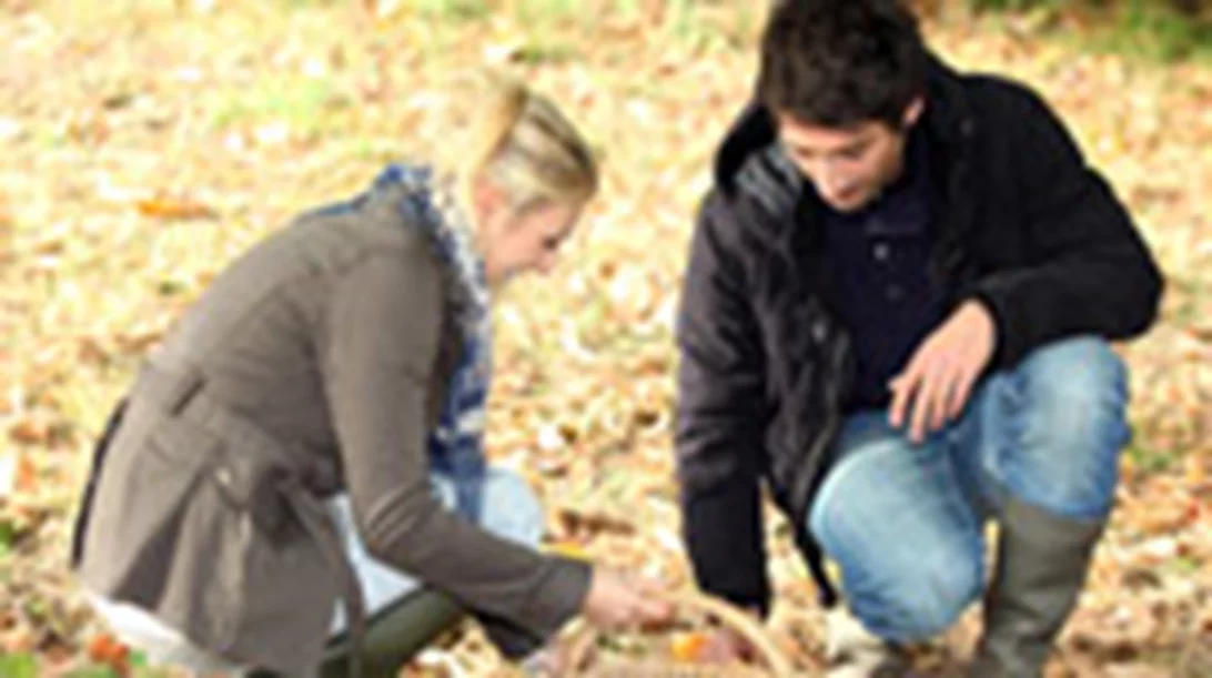 Τα γευστικά ραντεβού του φθινοπώρου 