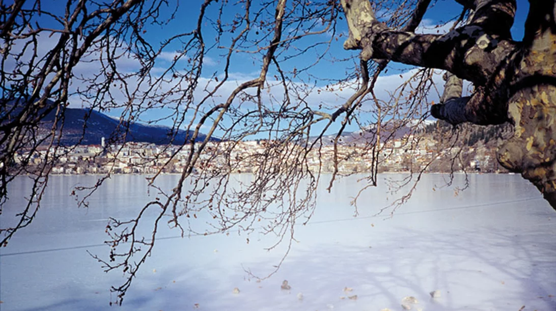 Καστοριά: Ντολτσό vita! 