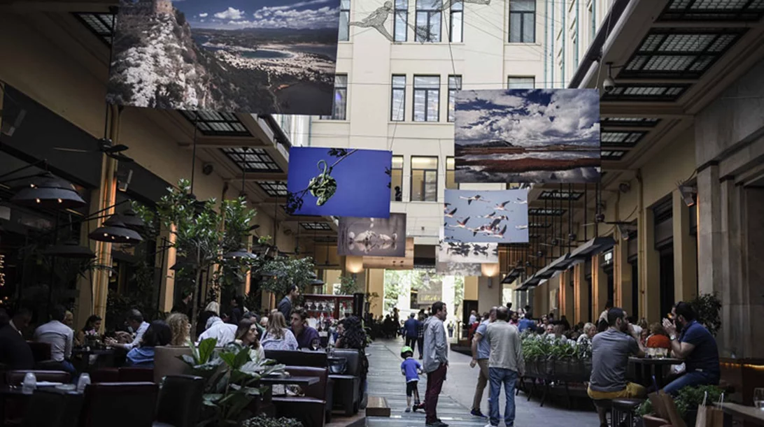 «Μια μέρα στη λιμνοθάλασσα»