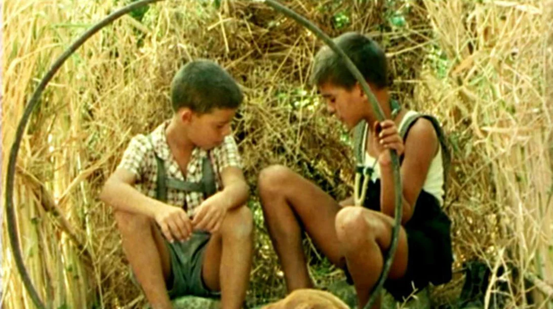 Το Δέντρο που Πληγώναμε