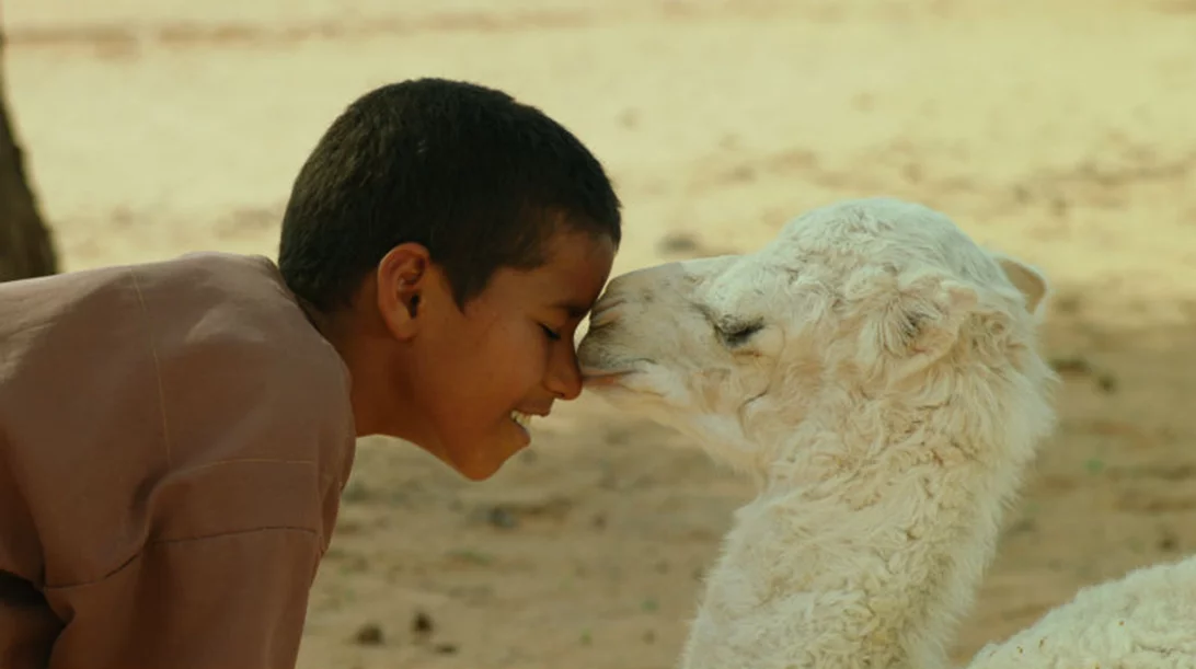 Οι πιο διασκεδαστικές ταινίες της χρονιάς στο 20ο Φεστιβάλ Κινηματογράφου Ολυμπίας