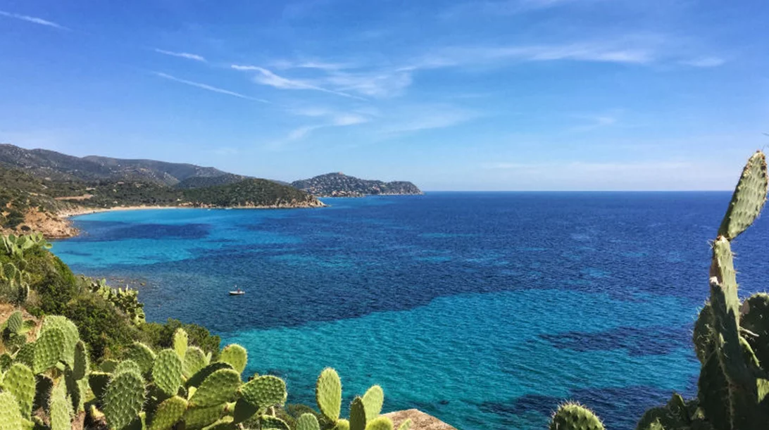 Πως η παγκόσμια jazz ανθεί στη Μεσόγειο