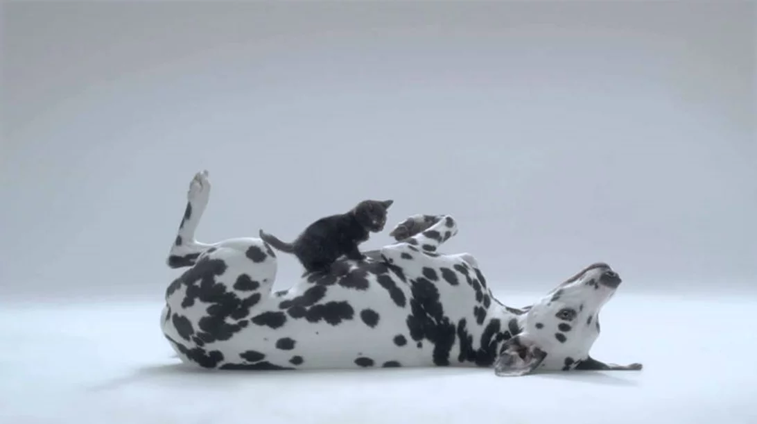 Save your skin: Τσέκαρε τις ελιές σου και προστατεύσου έγκαιρα 