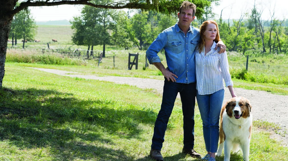 Ένας Αληθινός Φίλος