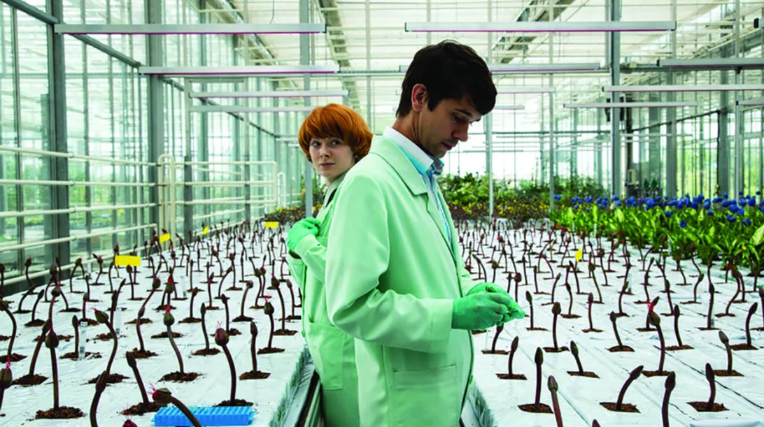 Το Λουλούδι της Ευτυχίας