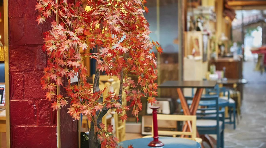 Μια αυλή που μοσχοβολά «Dirty Ginger» στο Χαλάνδρι