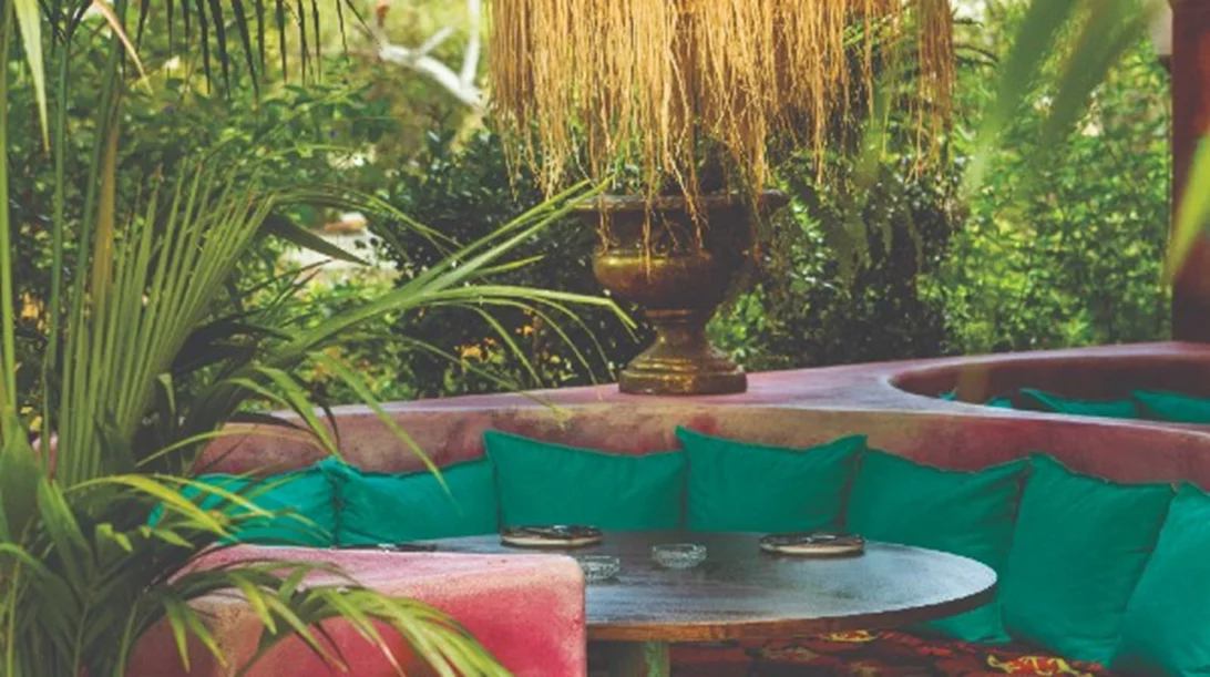 Noah: Τροπικός παράδεισος στο Πάρκο Ελευθερίας