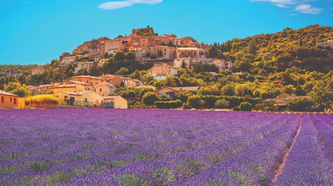 Μια βουτιά στις ανθισμένες λεβάντες της Νότιας Γαλλίας