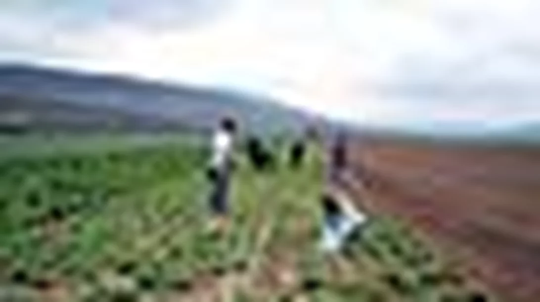 Αγροτουριστικές εξορμήσεις