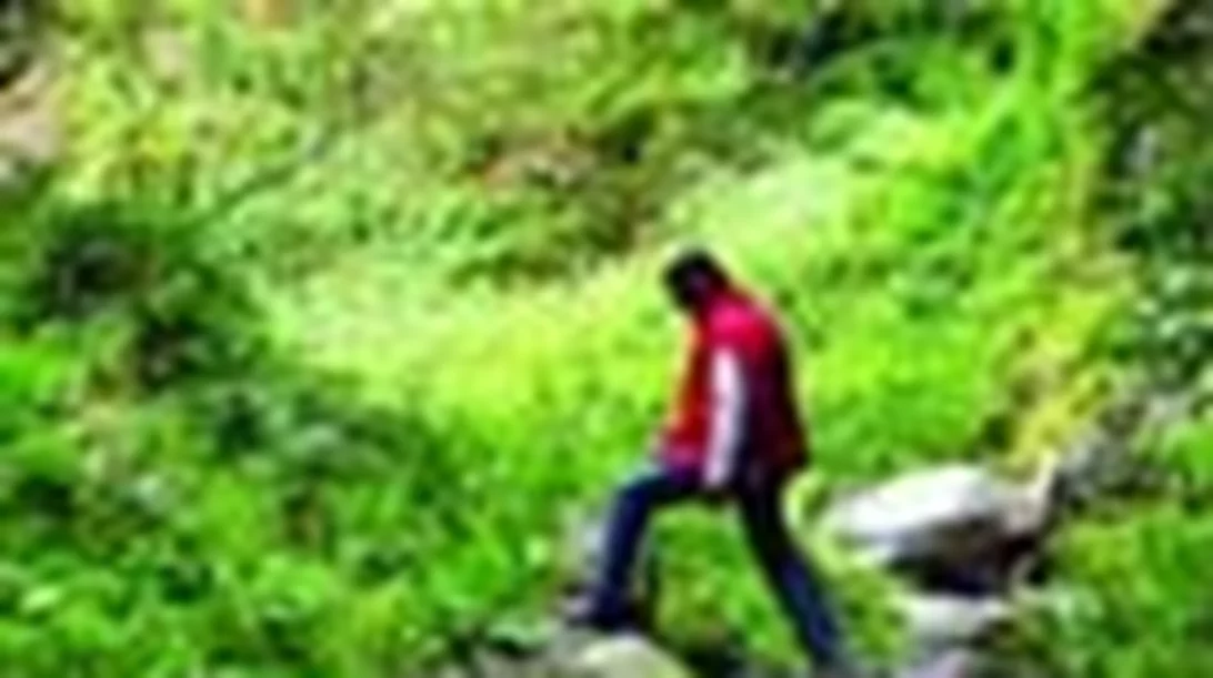 Ελατοχώρι Πιερίας