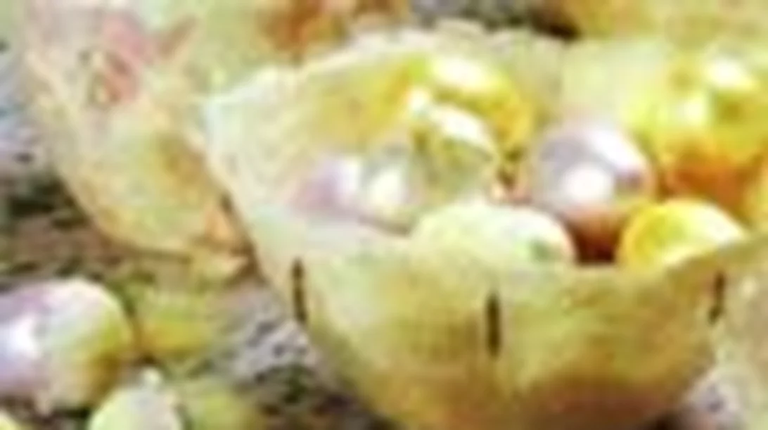 Πάσχα στην Ελλάδα