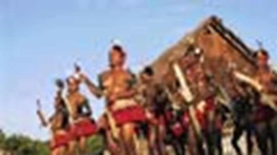 Ονειροπαγίδα!