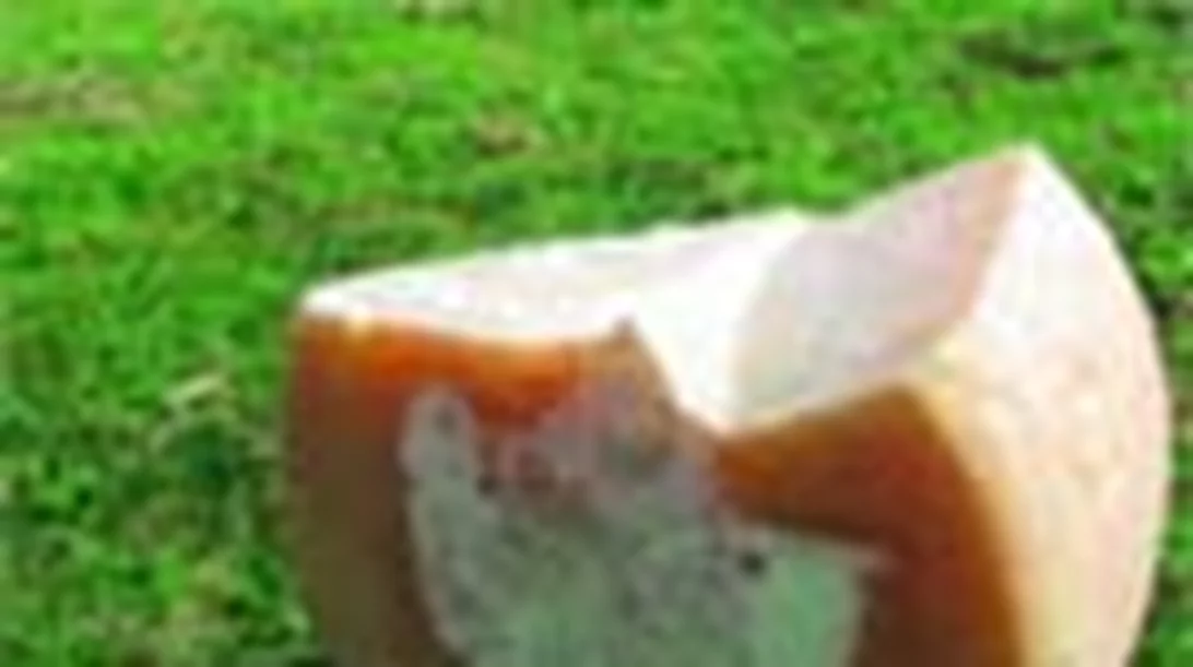 Οι δρόμοι του τυριού στη Βαυαρία